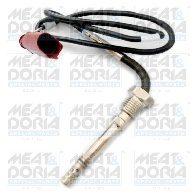 Sensor, exhaust gas temperature